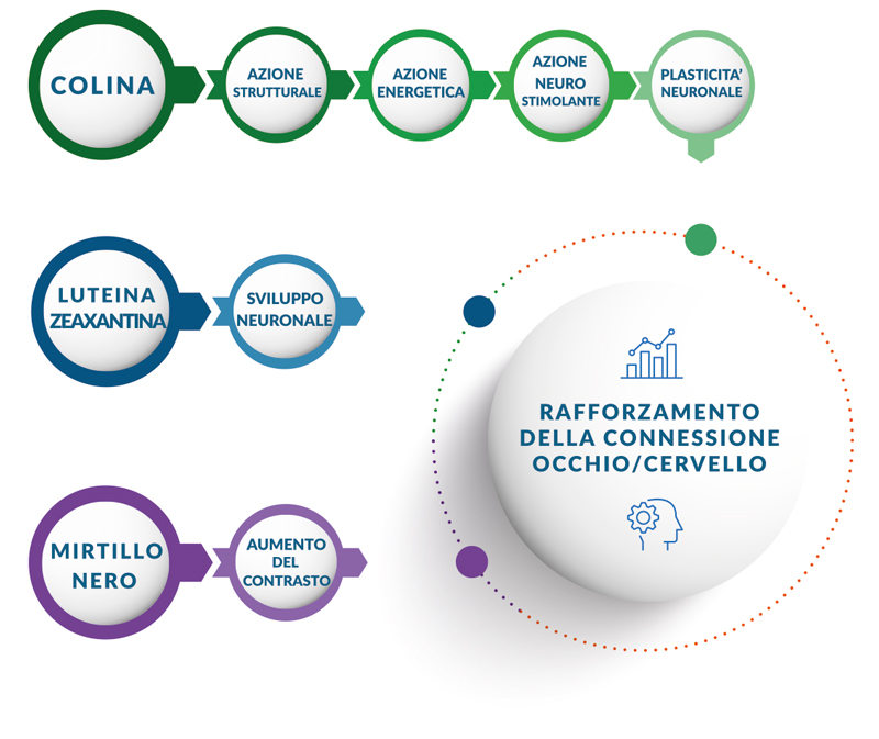 NUOVA FORMULAZIONE