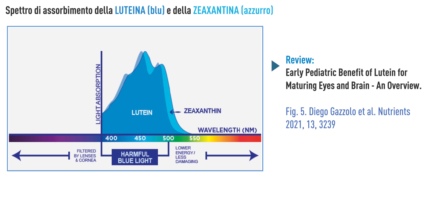 NUOVA FORMULAZIONE